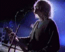 nirvana.gif